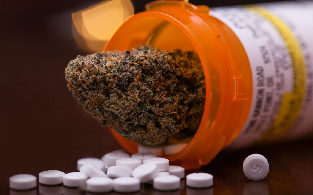 VIDEO–Legalization Made the Opioid Crisis Worse