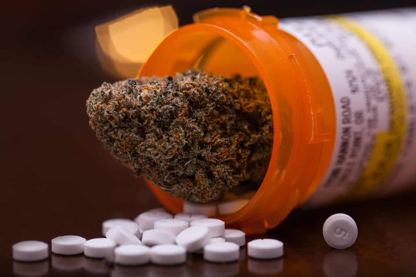 VIDEO–Legalization Made the Opioid Crisis Worse