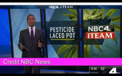 VIDEO-Pesticides and Marijuana