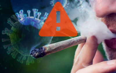Doctors Warn of Link Between Marijuana and Bad COVID-19 Symptoms